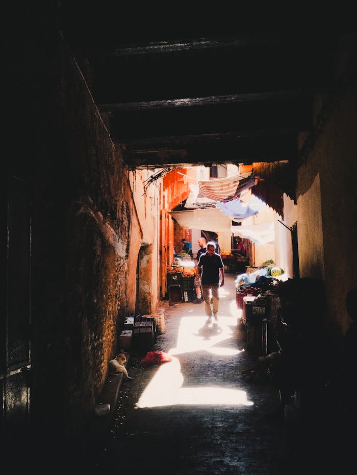 A shadowy alleyway in the Fes Medina, Morocco, capturing the cultural atmosphere.